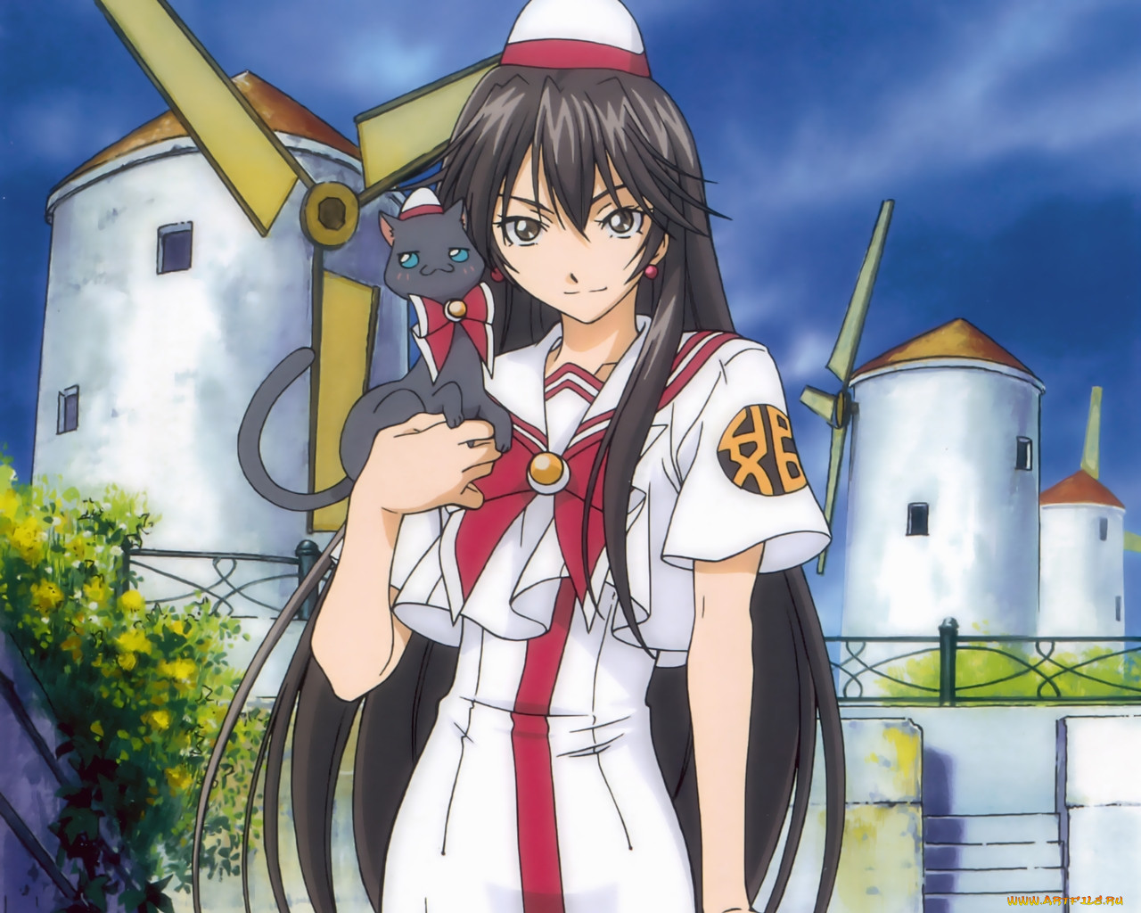 , aria